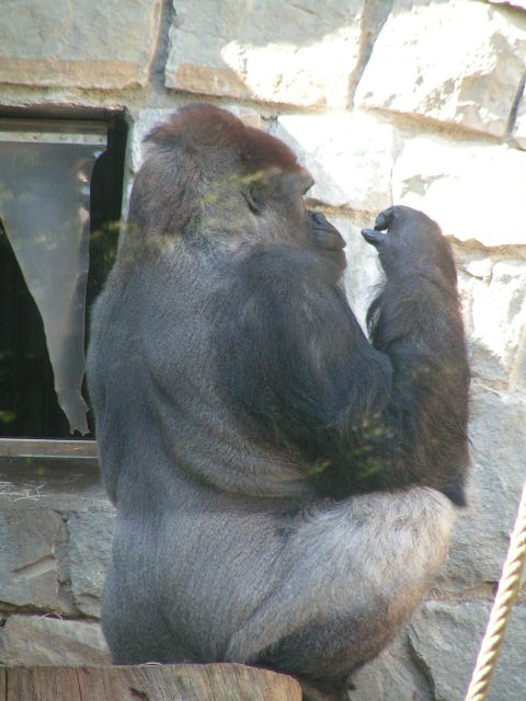 PICT0173.JPG