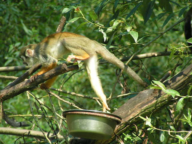 PICT0251.JPG