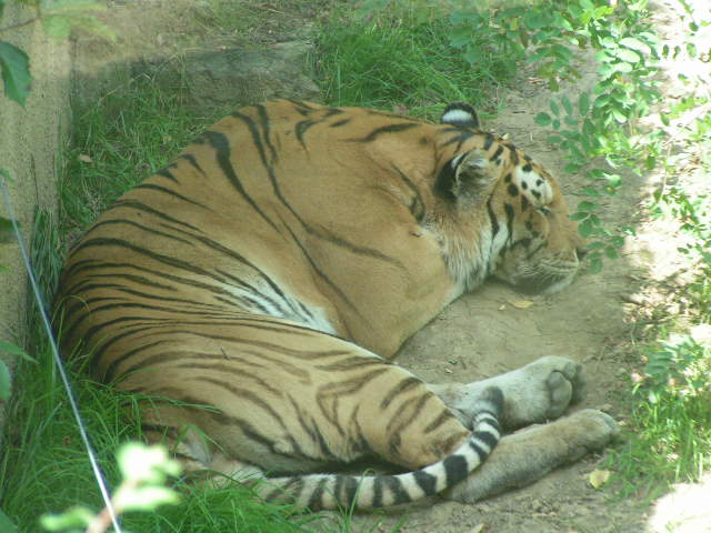 PICT0295.JPG