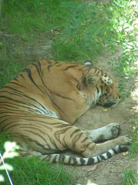 PICT0297.JPG