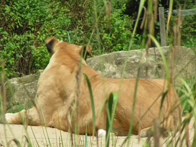 PICT0329.JPG