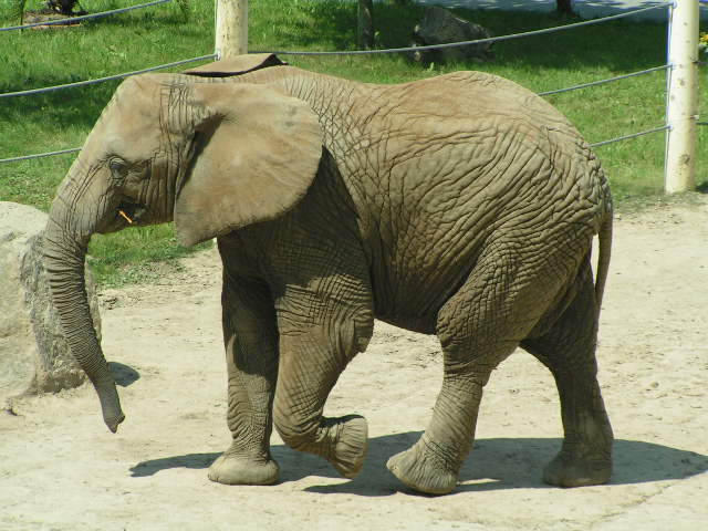 PICT0343.JPG