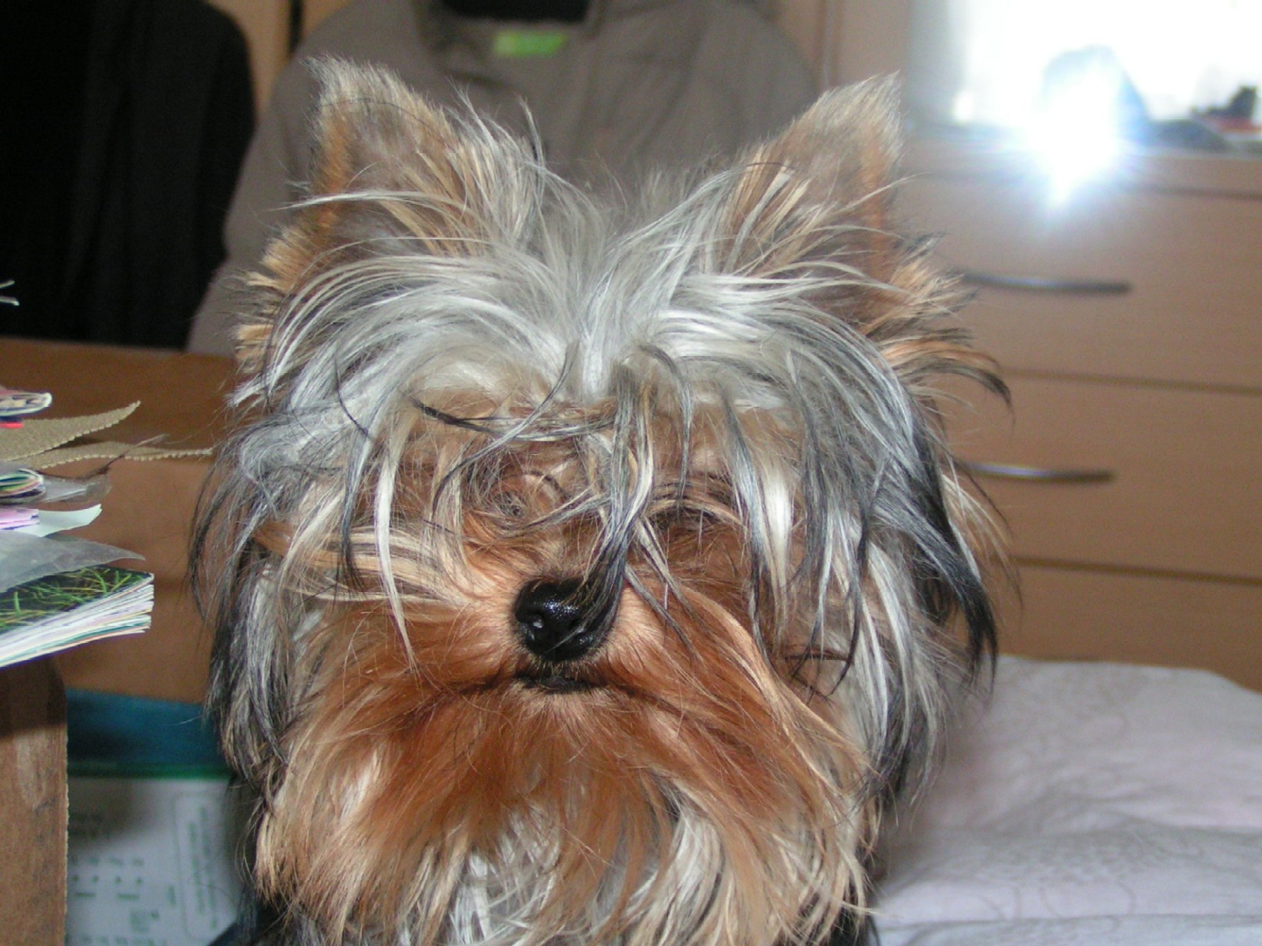 PICT0011.JPG