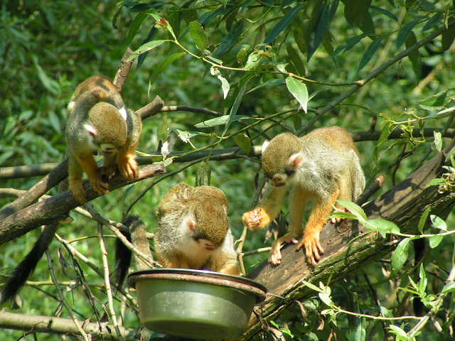 PICT0250.JPG